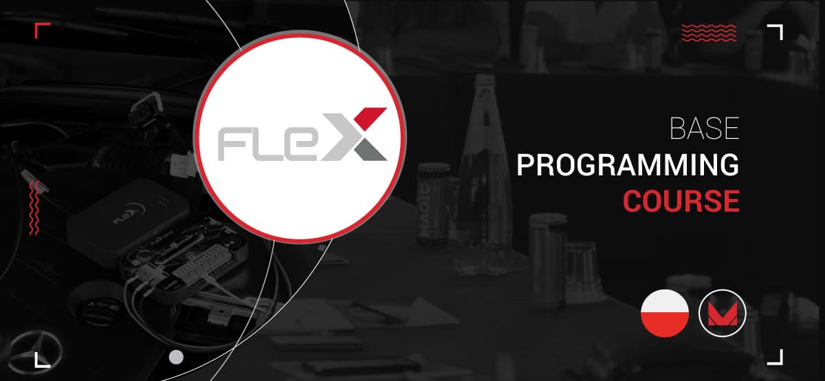There's a Base Programming course on FLEX in Warsaw, Poland.